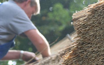 professional Bay Horse thatchers